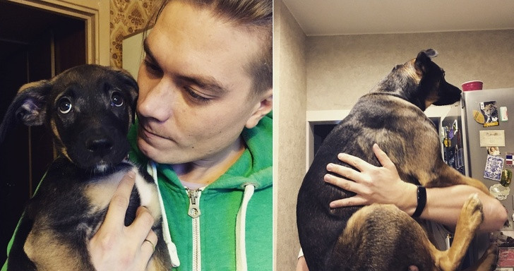 15 bức ảnh cảm động về quá trình trưởng thành của cún con ảnh 7 15 bức ảnh cảm động về quá trình trưởng thành của cún con ảnh 7