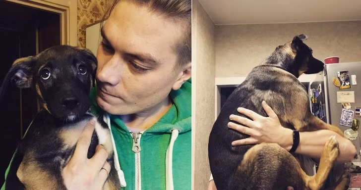 15 bức ảnh cảm động về quá trình trưởng thành của cún con ảnh 7