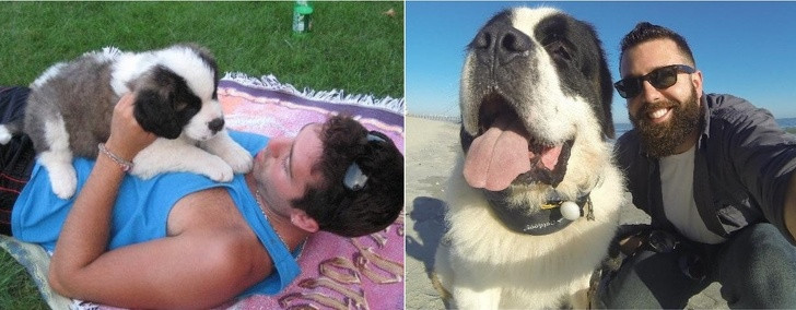 15 bức ảnh cảm động về quá trình trưởng thành của cún con ảnh 8 15 bức ảnh cảm động về quá trình trưởng thành của cún con ảnh 8