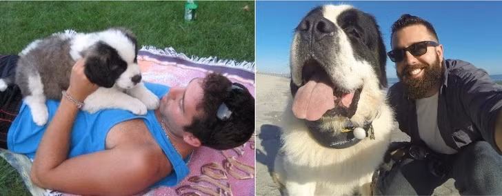 15 bức ảnh cảm động về quá trình trưởng thành của cún con ảnh 8