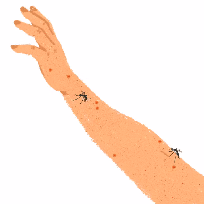 Biến đổi khí hậu đang gây tổn hại cho sức khỏe của chúng ta như thế nào? - Ảnh 5.