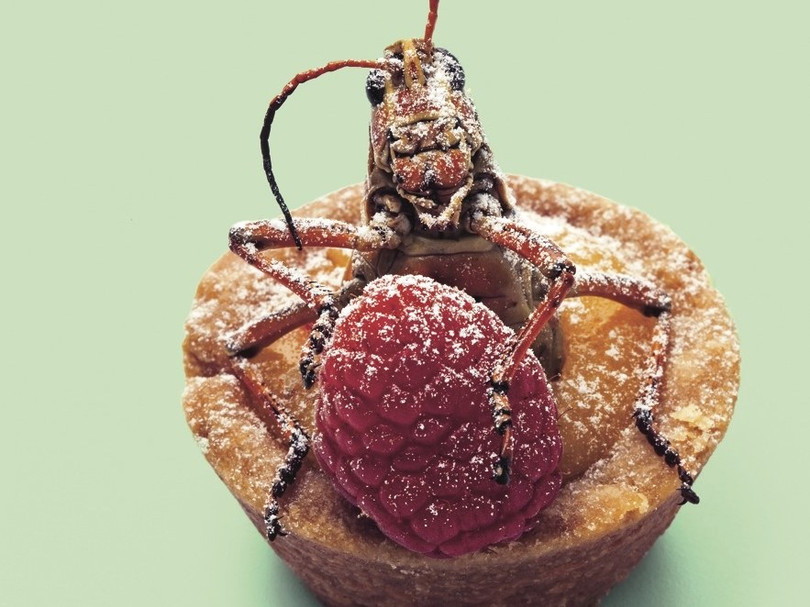 Và đây là một chú dế được nướng với bánh và dâu tây. Ảnh: CNA