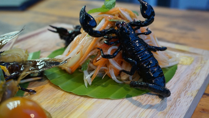 Nộm bọ cạp. Ảnh: CNA