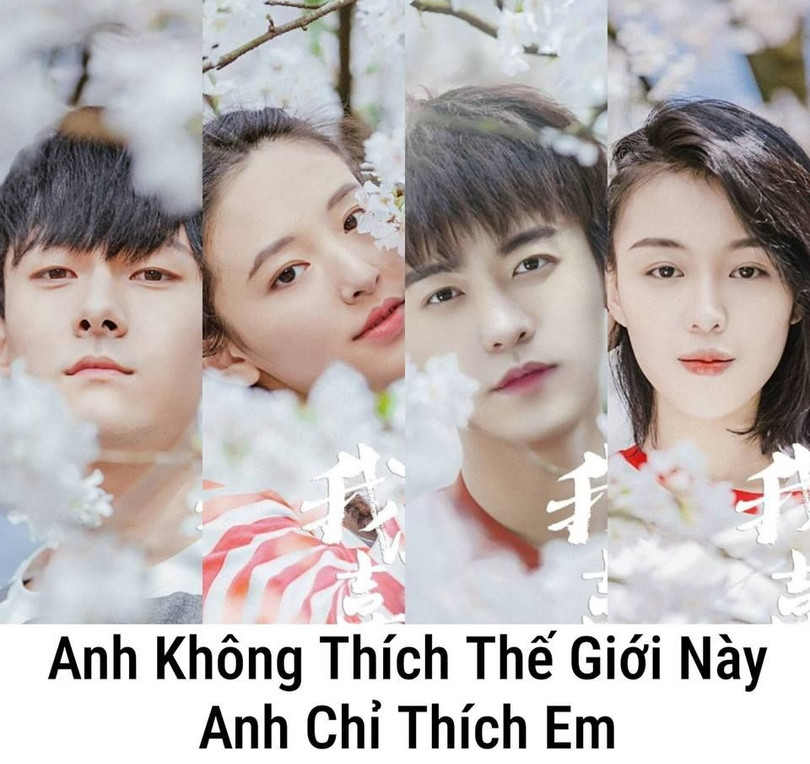 Chuyện tình đẹp như trong mơ của các cô gái. Ảnh: MDL Chuyện tình đẹp như trong mơ của các cô gái. Ảnh: MDL