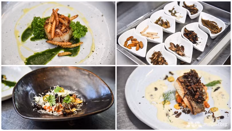 Các loại sâu và côn trùng có rất nhiều protein, có thể thay thế các loại thịt cá thông thường và anh tin rằng sẽ làm rung chuyển ngành công nghiệp nhà hàng ở Thái Lan . Ảnh: CNA Các loại sâu và côn trùng có rất nhiều protein, có thể thay thế các loại thịt cá thông thường và anh tin rằng sẽ làm rung chuyển ngành công nghiệp nhà hàng ở Thái Lan . Ảnh: CNA