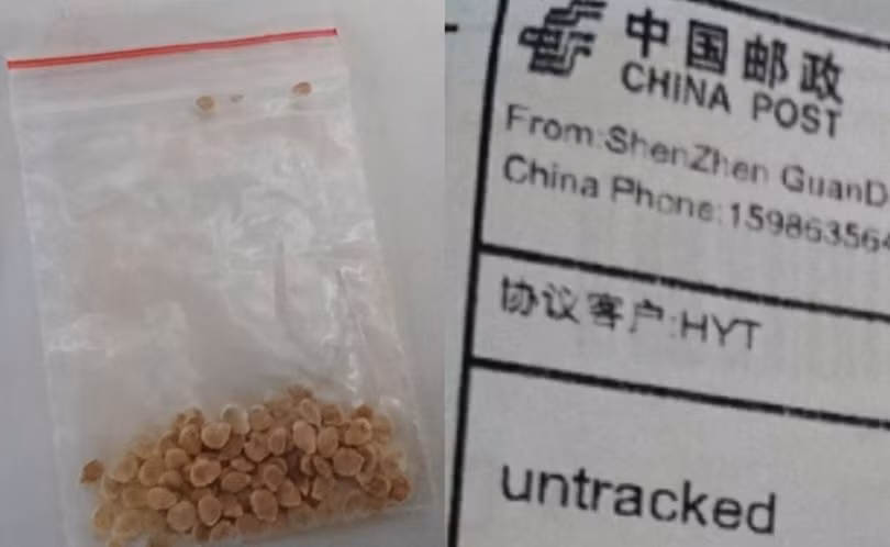 Địa chỉ nơi gửi các túi hạt giống tới Nhật đều ghi rõ: thành phố Thâm Quyến, tỉnh Quảng Đông, Trung Quốc (Ảnh: Hket)