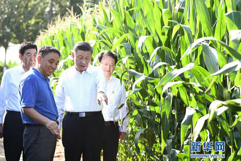 Ngày 22/7 vừa qua, ông Tập Cận Bình đã khảo sát tình hình nông nghiệp ở Cát Lâm và chỉ đạo về đảm bảo an ninh lương thực (Ảnh: Tân Hoa xã)