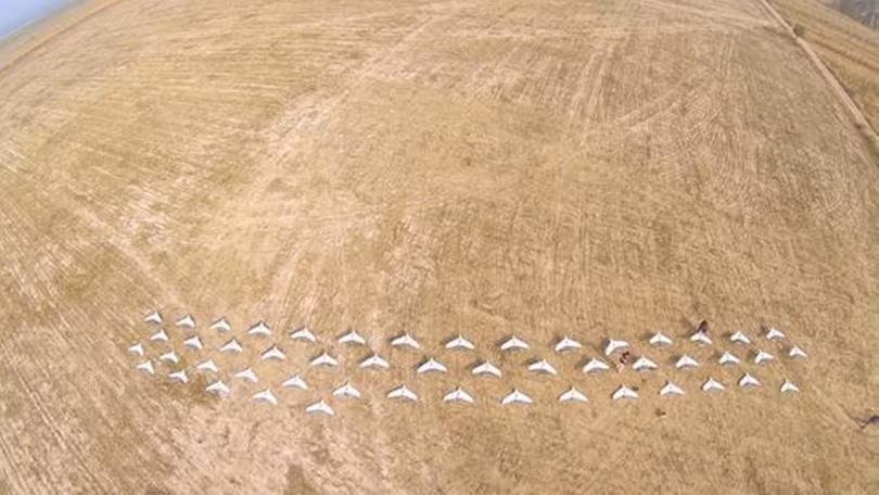 Trung Quốc thử nghiệm UAV quân sự tác chiến kiểu bầy ong năm 2018 (Ảnh: Đa Chiều).