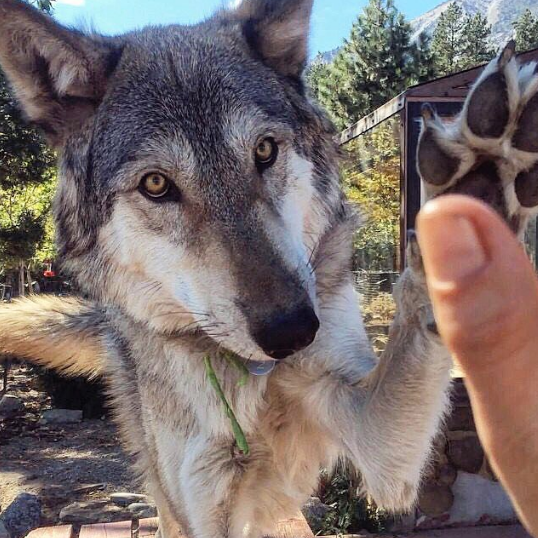 Nguồn: Bright Side Nguồn: Bright Side