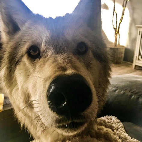 Nguồn: Bright Side Nguồn: Bright Side