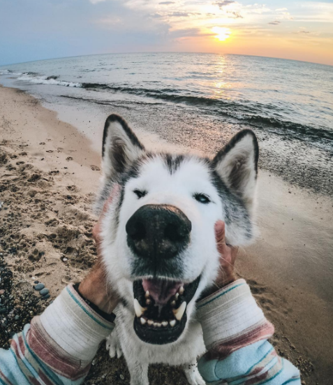 Nguồn: Bright Side Nguồn: Bright Side