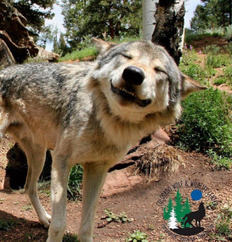 Nguồn: Bright Side Nguồn: Bright Side