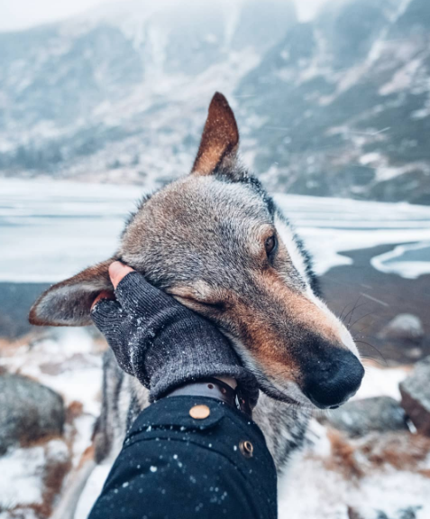 Nguồn: Bright Side Nguồn: Bright Side