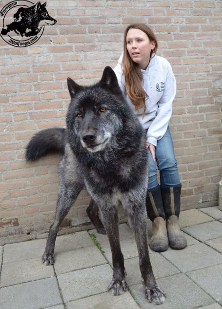 Nguồn: Bright Side Nguồn: Bright Side