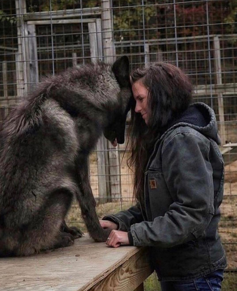 Nguồn: Bright Side Nguồn: Bright Side