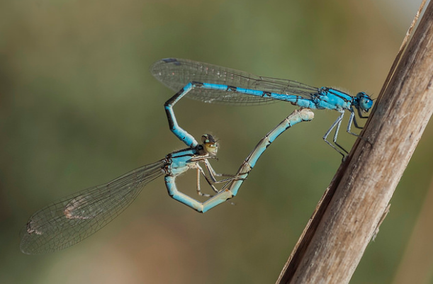 Nguồn: Bright Side Nguồn: Bright Side