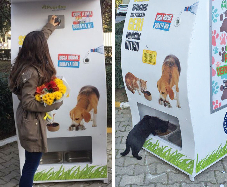 Nguồn: Bright Side Nguồn: Bright Side