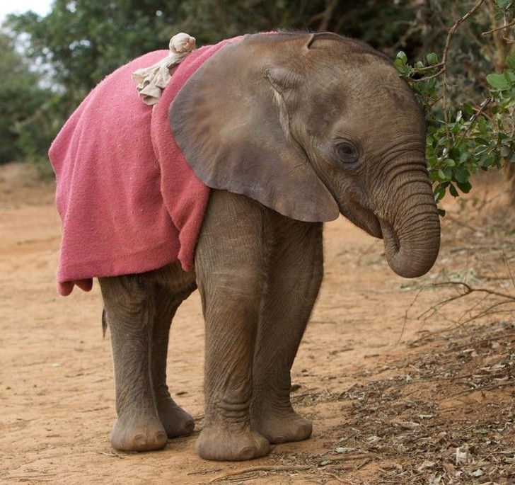 Nguồn: Bright Side Nguồn: Bright Side