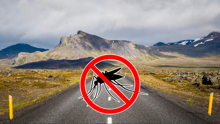 Nguồn: Bright Side Nguồn: Bright Side