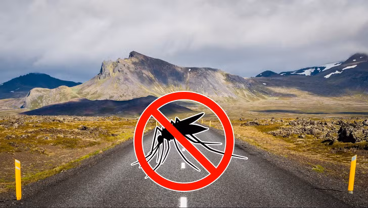 Nguồn: Bright Side