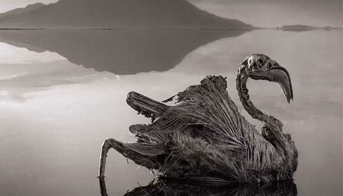 Hồ Natron