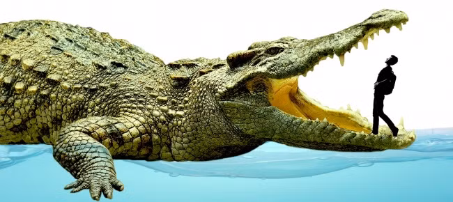 16 loài động, thực vật lớn nhất trên trái đất có thể bạn chưa biết ảnh 16