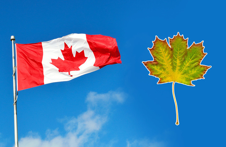 Khám phá 32 lá quốc kỳ độc đáo nhất trên thế giới ảnh 8