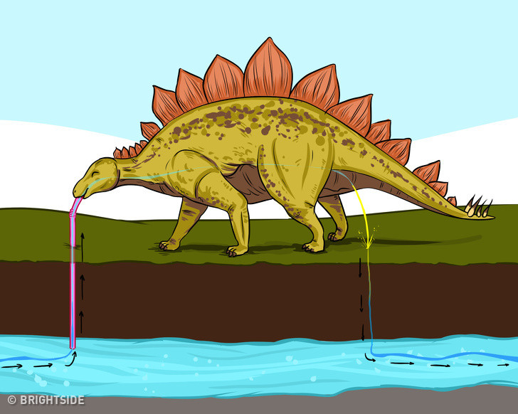 25 điều chứng minh rằng chúng ta biết rất ít về thế giới xung quanh ảnh 1