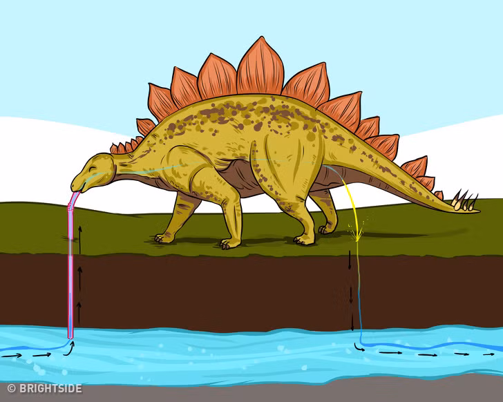 25 điều chứng minh rằng chúng ta biết rất ít về thế giới xung quanh ảnh 1