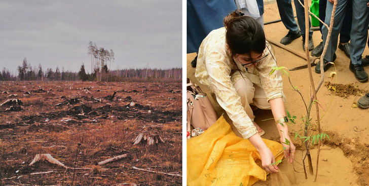 9 điều chúng ta có thể làm để giảm bớt biến đổi khí hậu ảnh 4 9 điều chúng ta có thể làm để giảm bớt biến đổi khí hậu ảnh 4