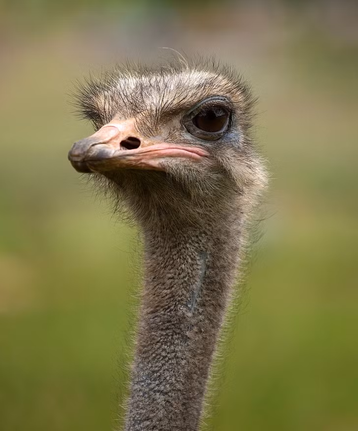 25 điều chứng minh rằng chúng ta biết rất ít về thế giới xung quanh ảnh 19