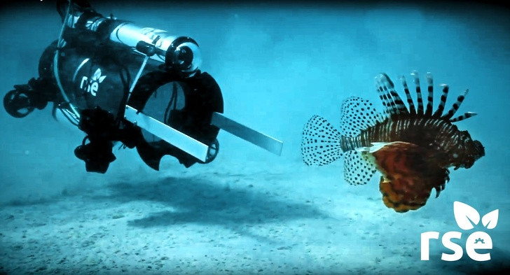 9 điều chúng ta có thể làm để giảm bớt biến đổi khí hậu ảnh 2 9 điều chúng ta có thể làm để giảm bớt biến đổi khí hậu ảnh 2