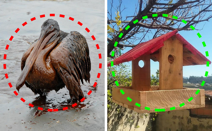 9 điều chúng ta có thể làm để giảm bớt biến đổi khí hậu ảnh 6 9 điều chúng ta có thể làm để giảm bớt biến đổi khí hậu ảnh 6