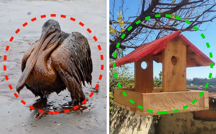 9 điều chúng ta có thể làm để giảm bớt biến đổi khí hậu ảnh 6