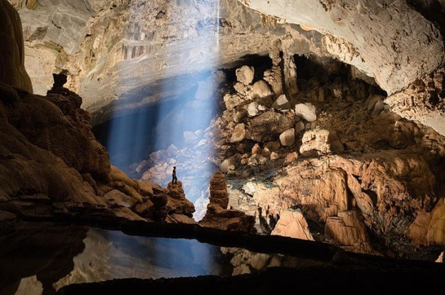 16 loài động, thực vật lớn nhất trên trái đất có thể bạn chưa biết ảnh 6 16 loài động, thực vật lớn nhất trên trái đất có thể bạn chưa biết ảnh 6