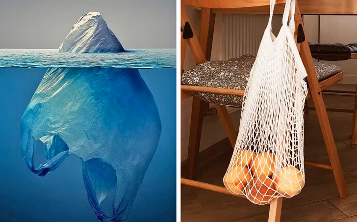 9 điều chúng ta có thể làm để giảm bớt biến đổi khí hậu ảnh 9