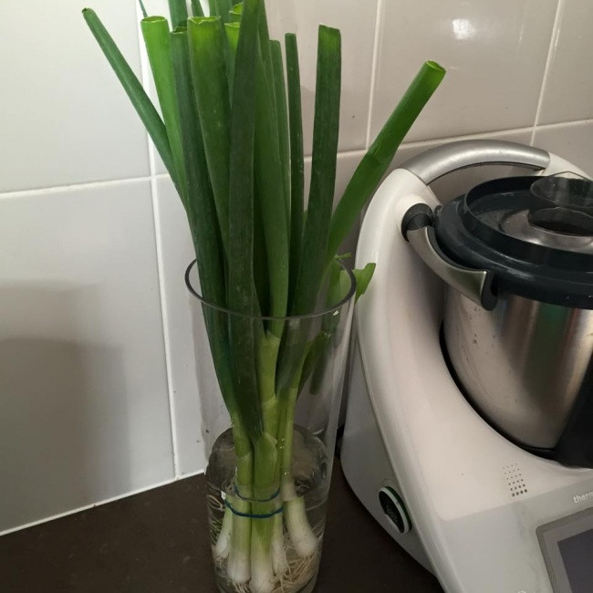 10 mẹo hàng đầu giúp thực phẩm tươi lâu hơn ảnh 8