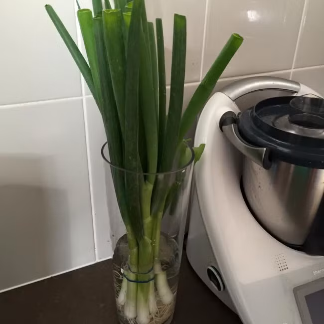 10 mẹo hàng đầu giúp thực phẩm tươi lâu hơn ảnh 8