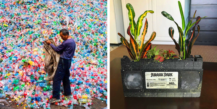 9 điều chúng ta có thể làm để giảm bớt biến đổi khí hậu ảnh 8 9 điều chúng ta có thể làm để giảm bớt biến đổi khí hậu ảnh 8