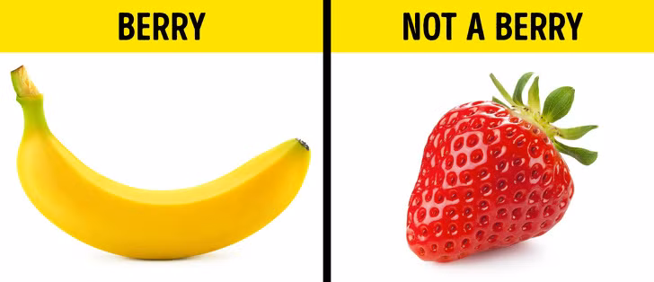 25 điều chứng minh rằng chúng ta biết rất ít về thế giới xung quanh ảnh 13