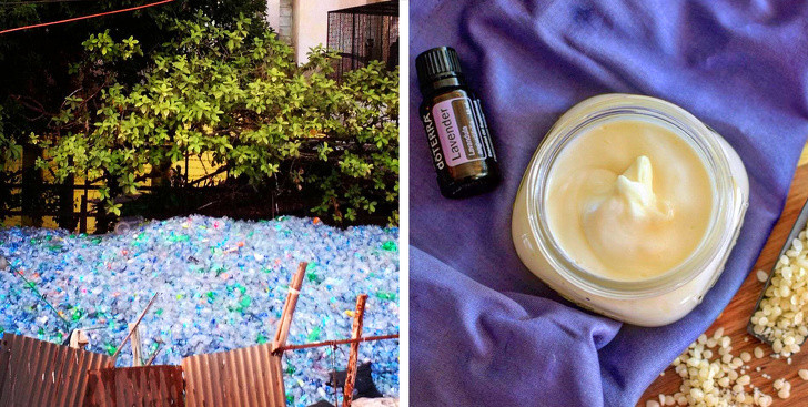 9 điều chúng ta có thể làm để giảm bớt biến đổi khí hậu ảnh 5 9 điều chúng ta có thể làm để giảm bớt biến đổi khí hậu ảnh 5