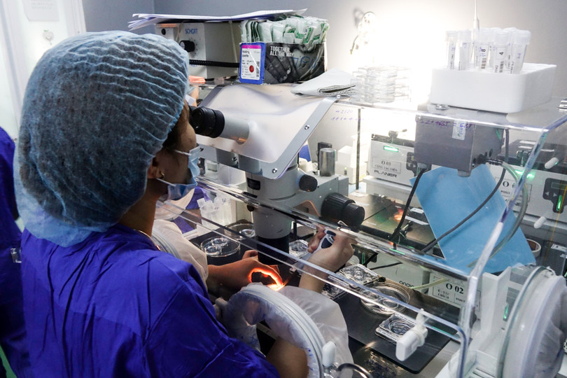 Chuyên viên phôi học thực hiện tìm trứng