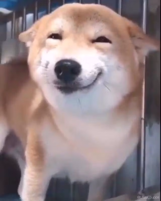 HÃ¬nh áº£nh cÃ³ lĩAªn quan