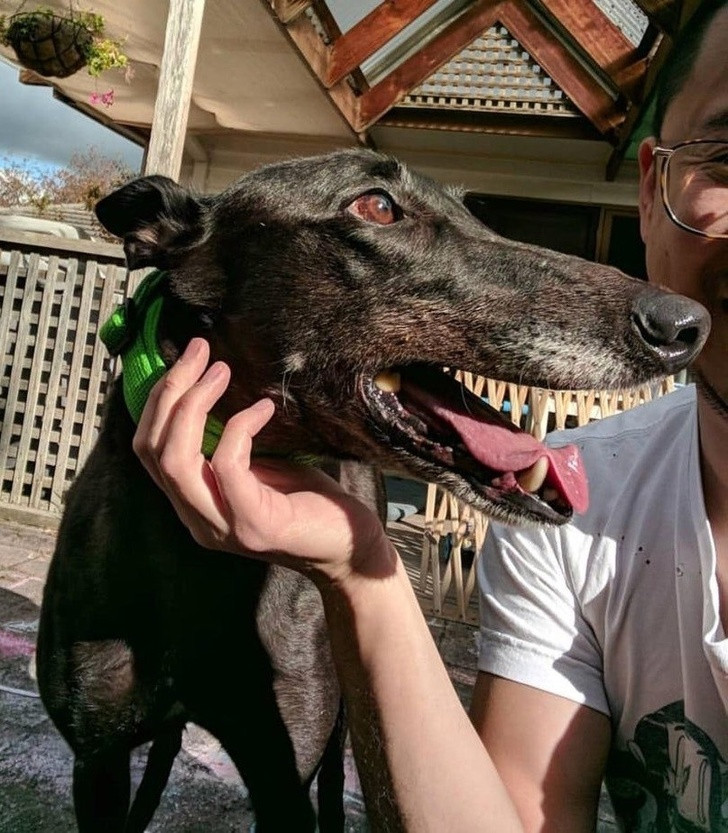 Chùm ảnh hài hước đánh lừa thị giác một cách ngoạn mục ảnh 11 Chùm ảnh hài hước đánh lừa thị giác một cách ngoạn mục ảnh 11