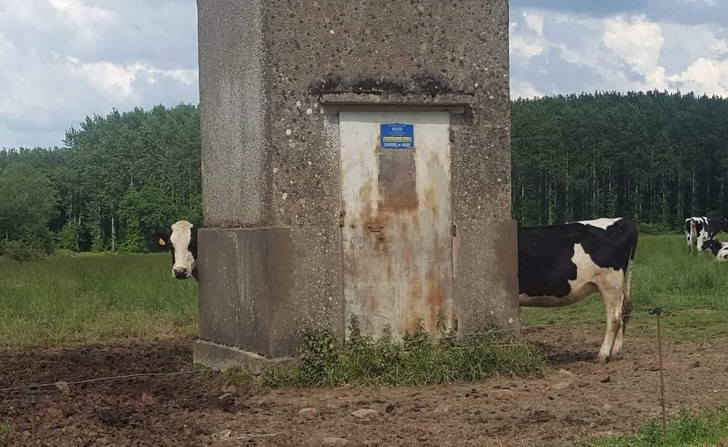 Chùm ảnh hài hước đánh lừa thị giác một cách ngoạn mục ảnh 7 Chùm ảnh hài hước đánh lừa thị giác một cách ngoạn mục ảnh 7