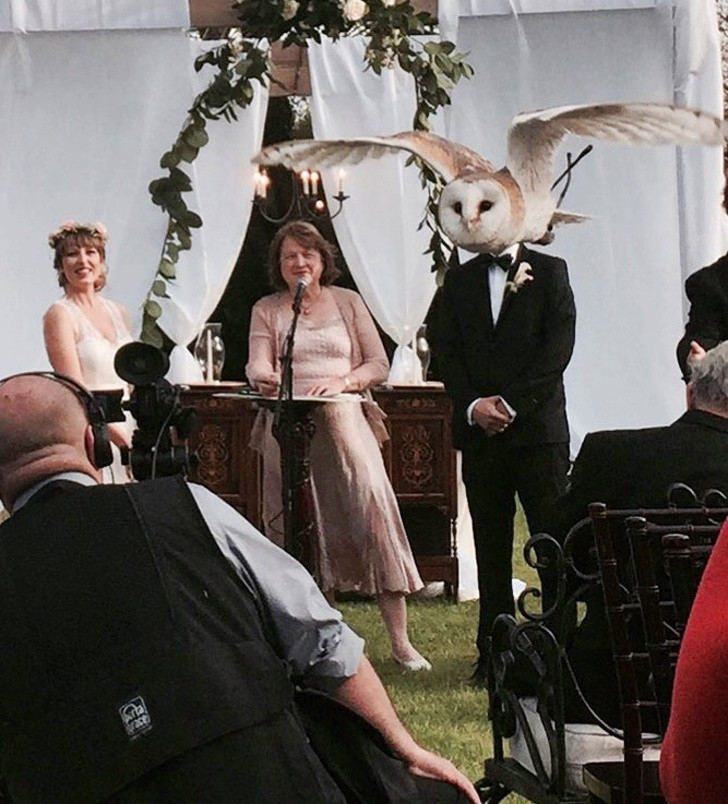 Chùm ảnh hài hước đánh lừa thị giác một cách ngoạn mục ảnh 14 Chùm ảnh hài hước đánh lừa thị giác một cách ngoạn mục ảnh 14