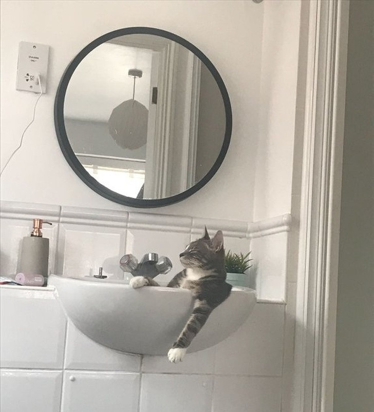 13 hình ảnh chứng minh cuộc sống luôn ngập tràn điều bất ngờ ảnh 13