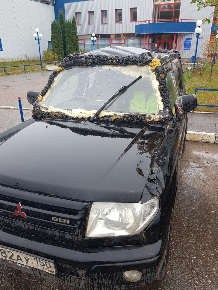 13 hình ảnh chứng minh cuộc sống luôn ngập tràn điều bất ngờ ảnh 11