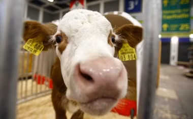 Ảnh: Reuters Ảnh: Reuters