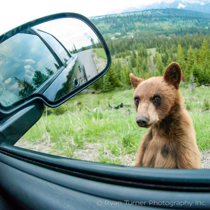 Những cặp đôi có màn phối hợp ăn ý nhất quả đất ảnh 10